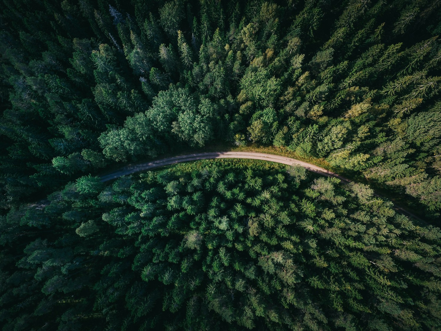 Coastal road